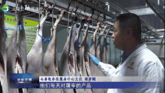 <b>交城：严把屠宰检疫关 确保节日肉类供应平安靠</b>